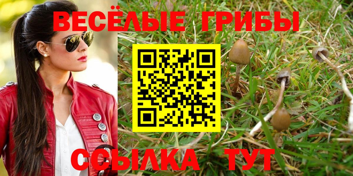 Псилоцибиновые грибы мухоморы Новый Уренгой
