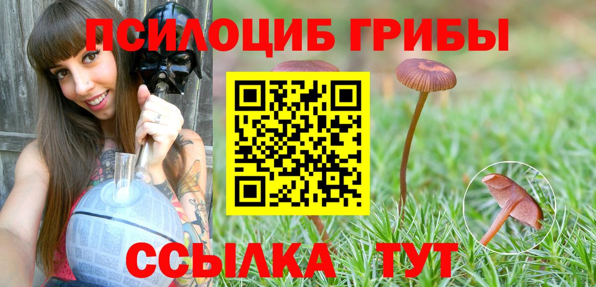Галлюциногенные грибы прущие грибы  Галлюциногенные грибы GOLDEN TEACHER  Вход с VPN  Новый Уренгой 