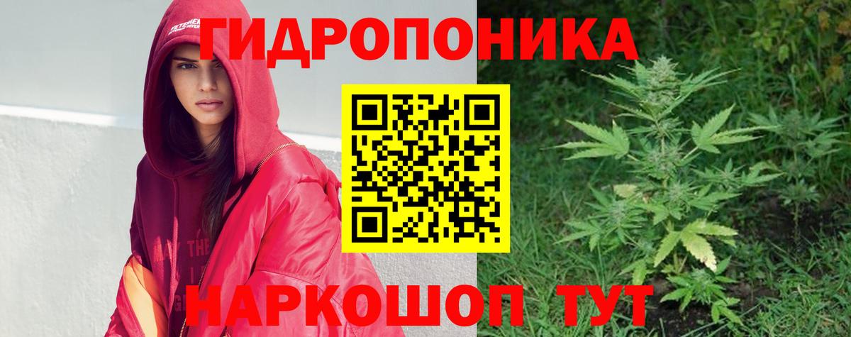 Канабис White Widow Новый Уренгой